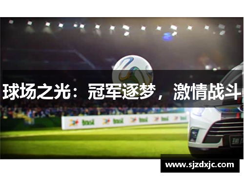 球场之光：冠军逐梦，激情战斗