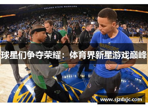 球星们争夺荣耀：体育界新星游戏巅峰