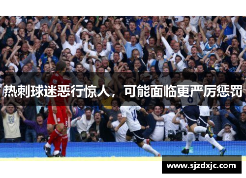 热刺球迷恶行惊人，可能面临更严厉惩罚